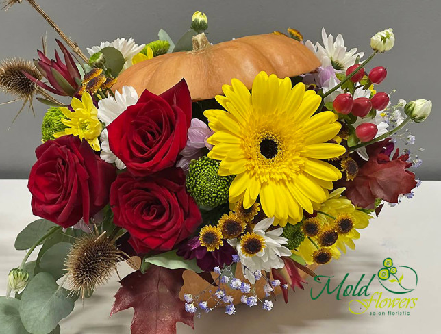 Arrangement with Red Roses, Gerbera in a Pumpkin photo